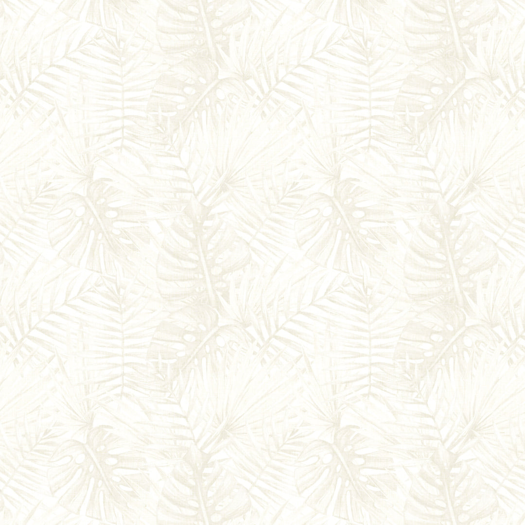 Tropical Forest - Fawn