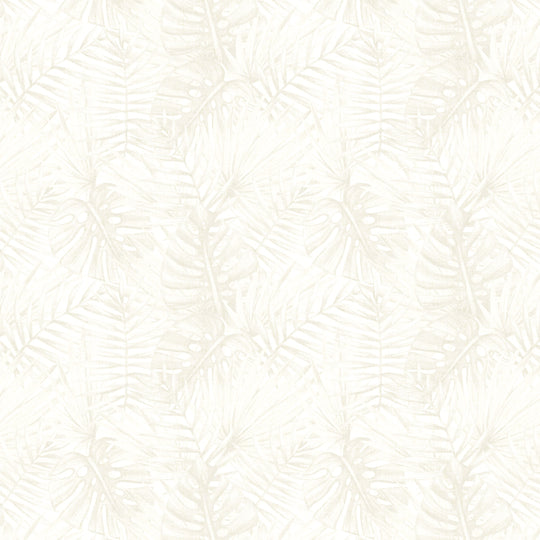 Tropical Forest - Fawn