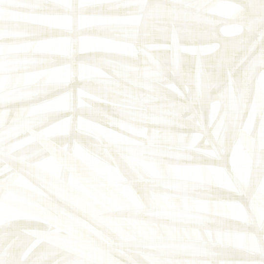 Tropical Forest - Fawn