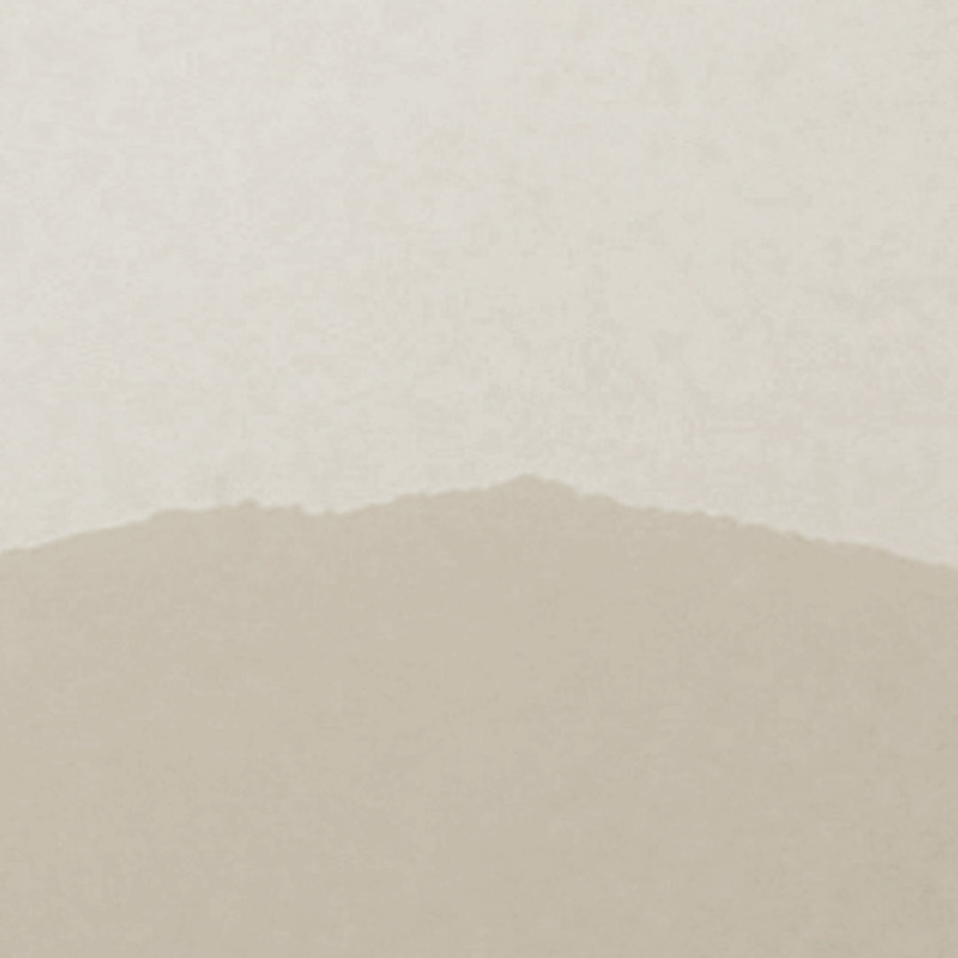 Misty Mountains Desert Brown