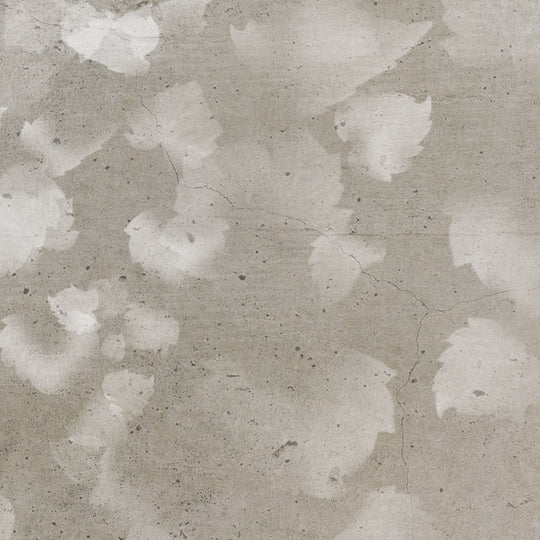 Scattered Leaves