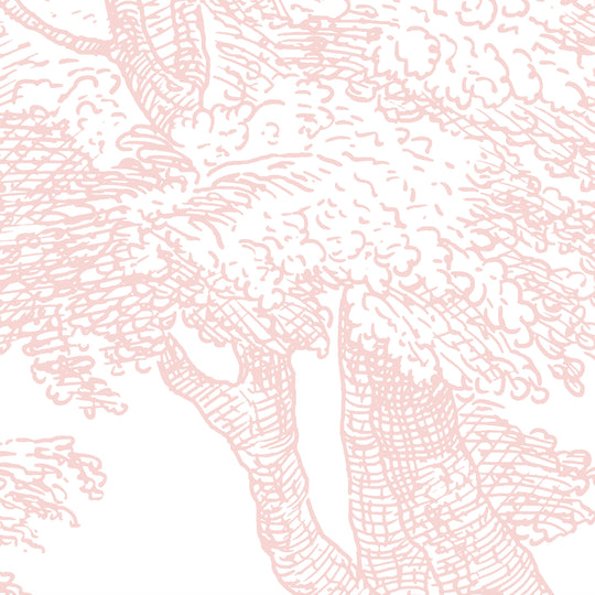 Babbling Brook - Tea Rose