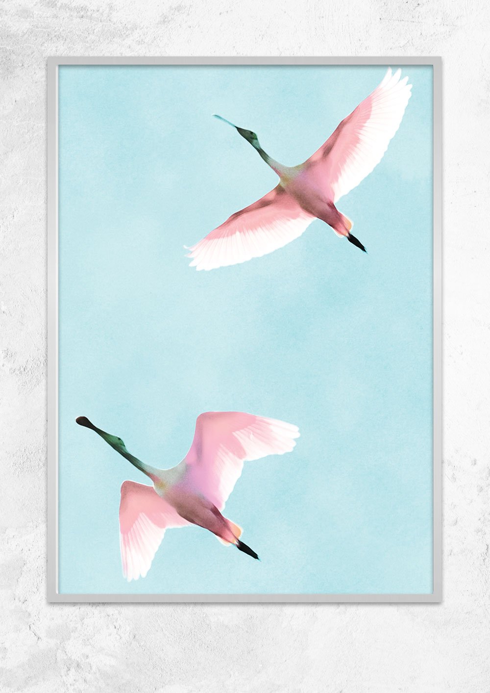 Two Flying Flamingos