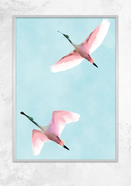 Two Flying Flamingos