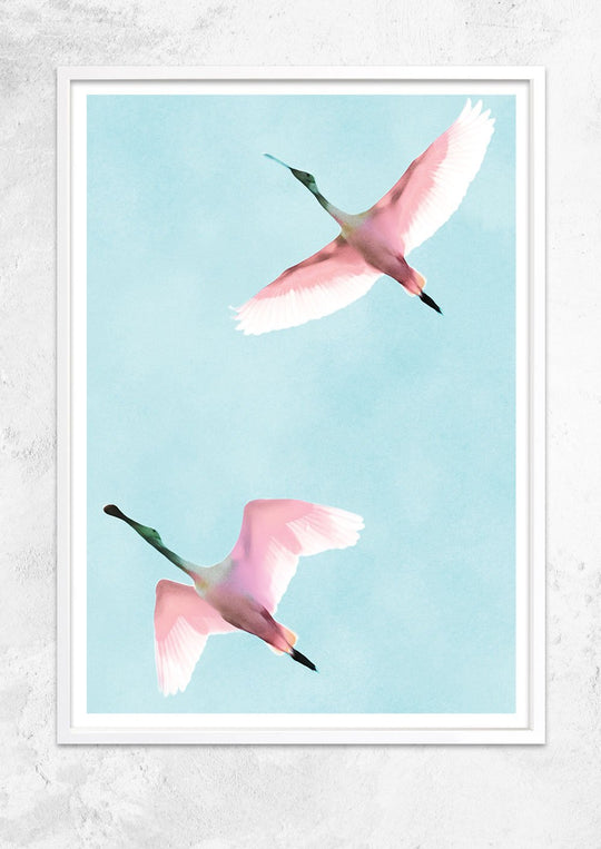 Two Flying Flamingos