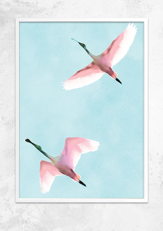 Two Flying Flamingos