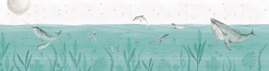 Little Narwhal