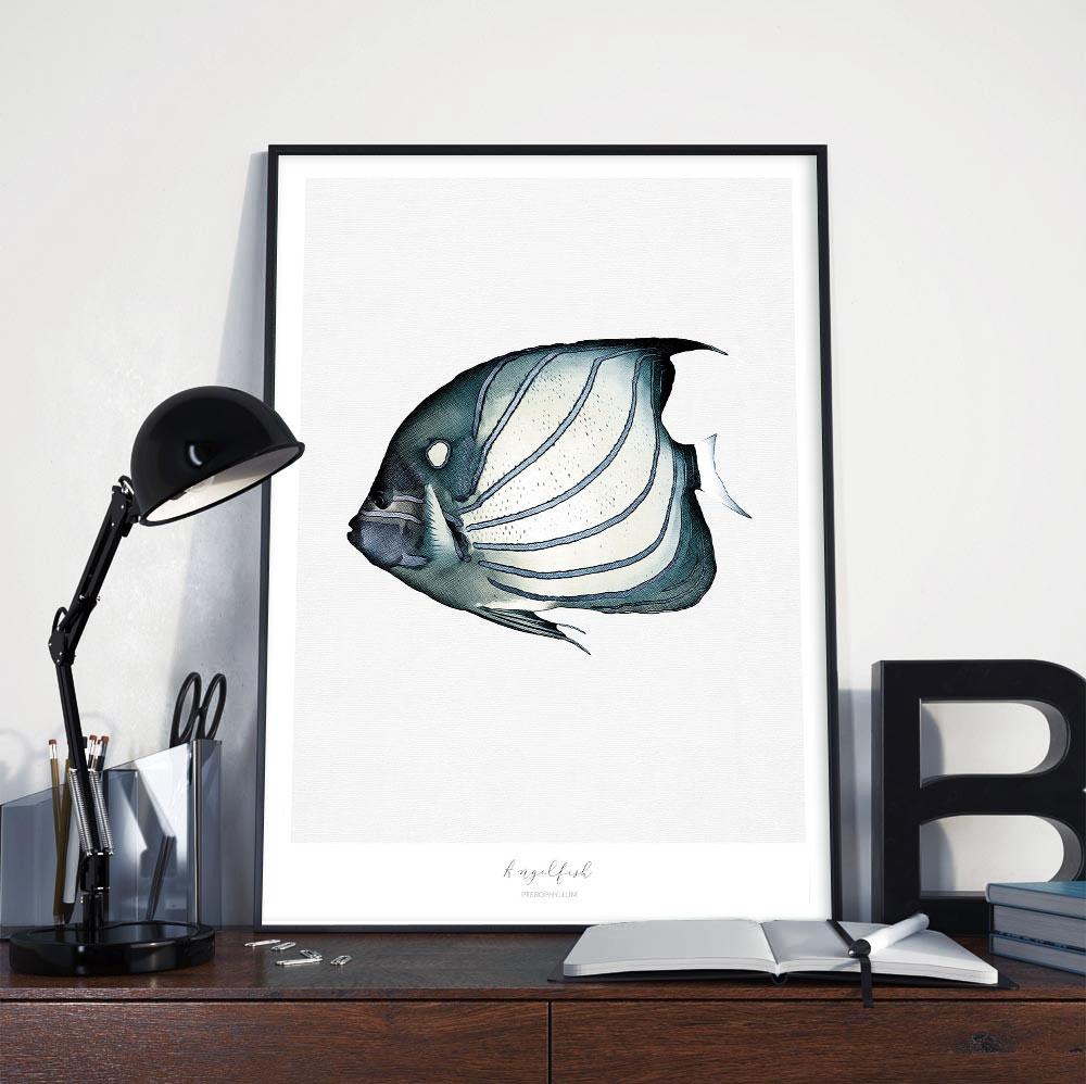 Marine Life Series - Angelfish