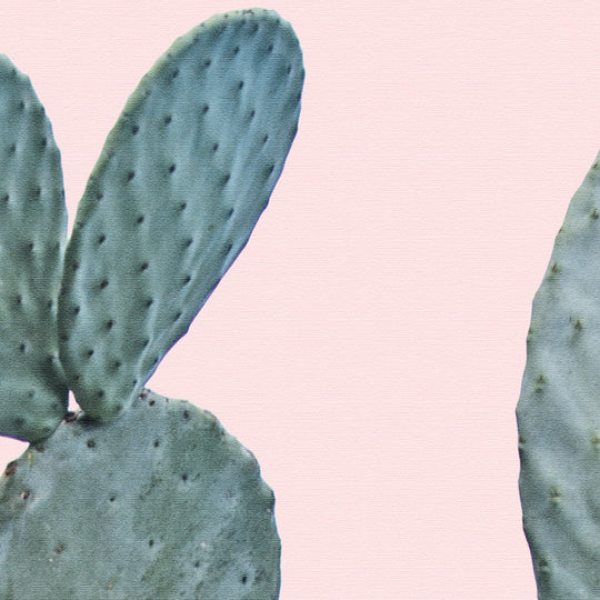 Prickly Pear in Dusty Pink