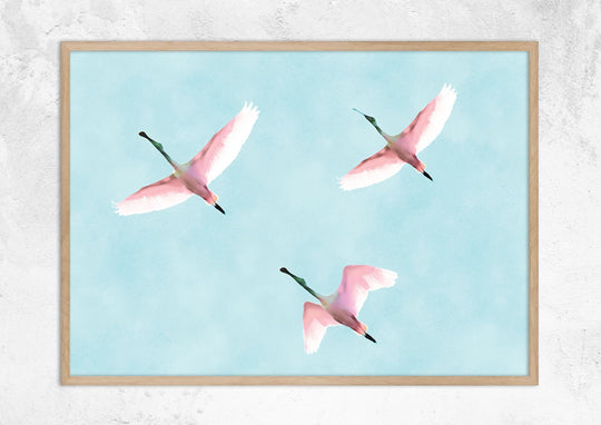Flying Flamingos