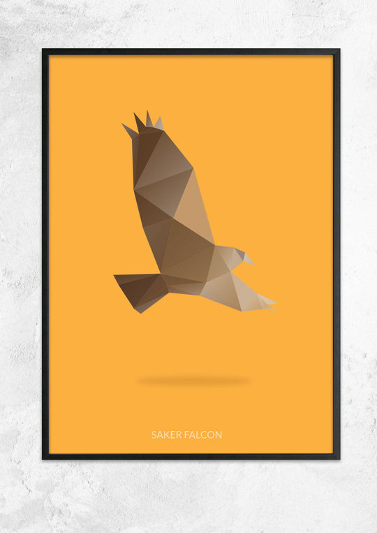 Saker Falcon
