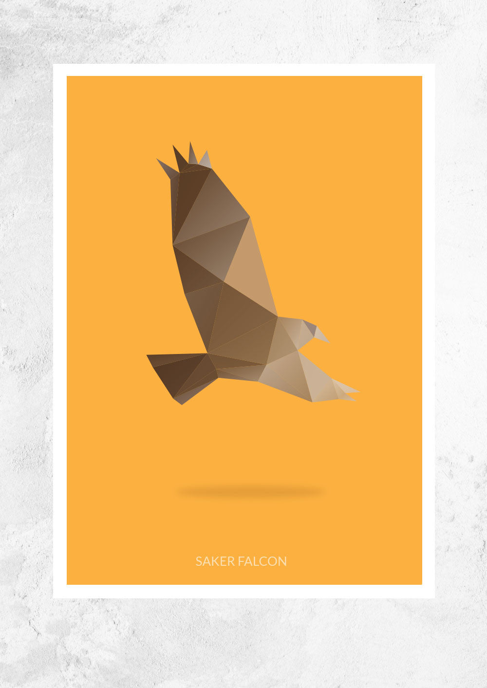 Saker Falcon