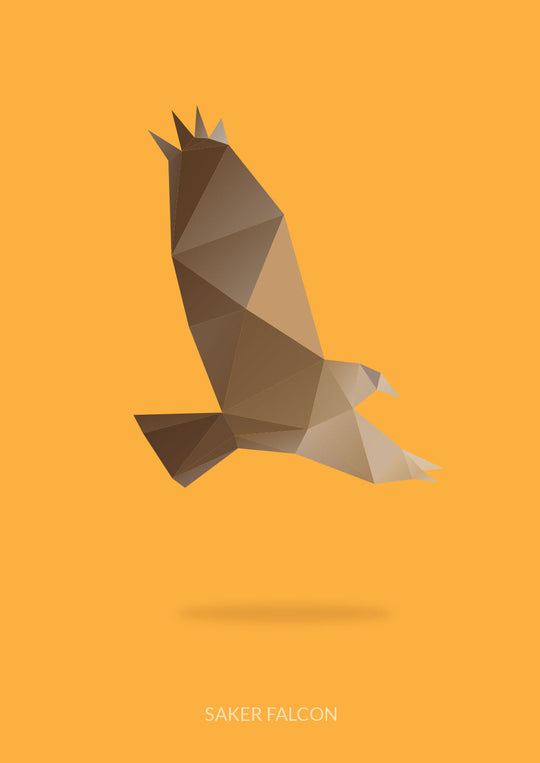 Saker Falcon