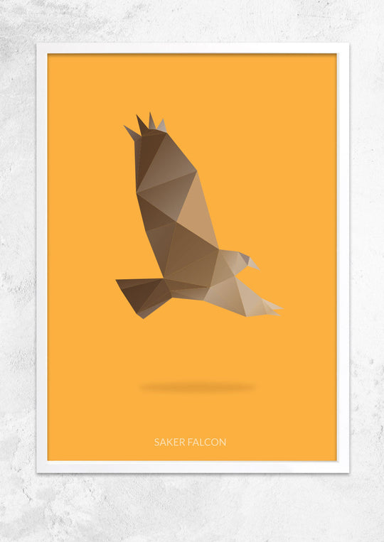 Saker Falcon