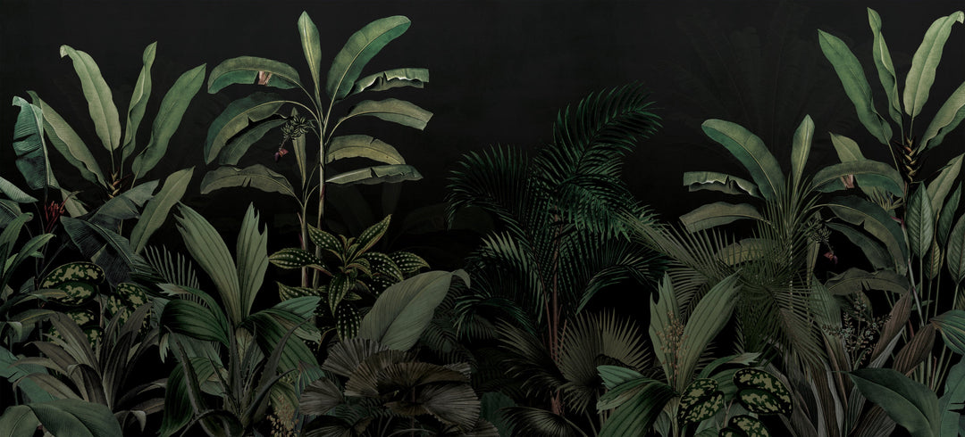 Midnight Garden