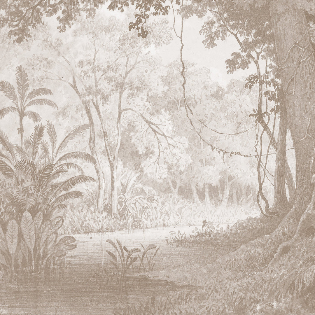 Rainforest River - Cedar