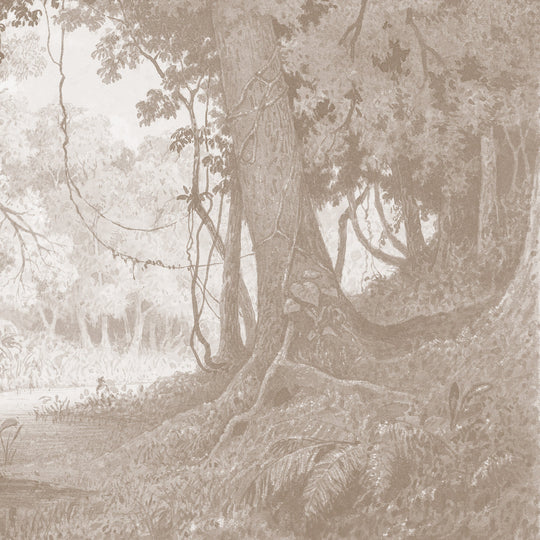 Rainforest River - Cedar