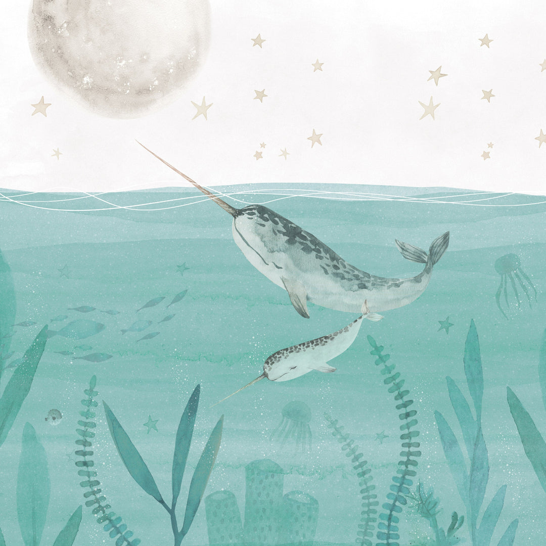 Little Narwhal