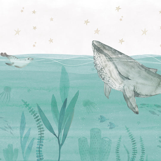 Little Narwhal