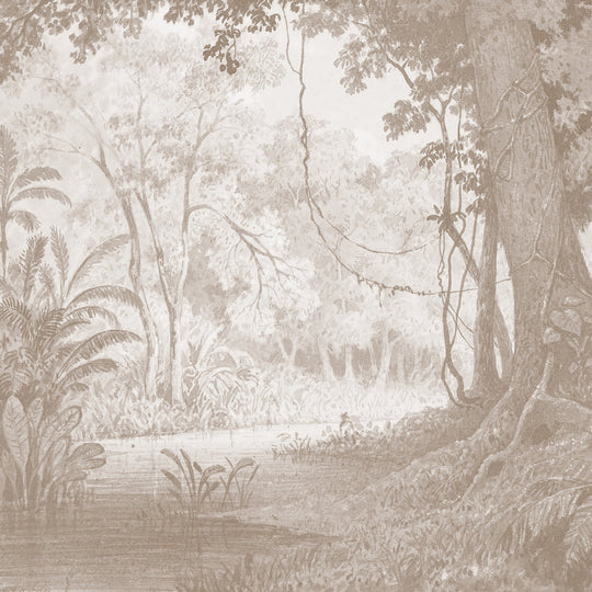 Rainforest River - Cedar
