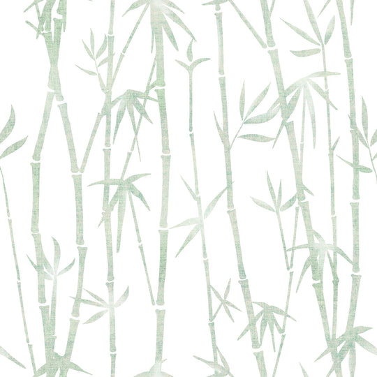 Green Bamboo