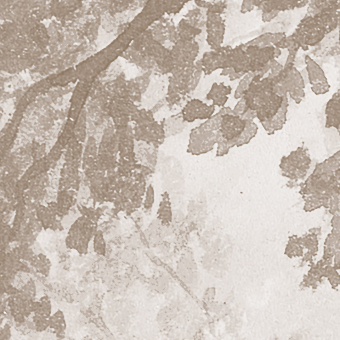 Rainforest River - Cedar