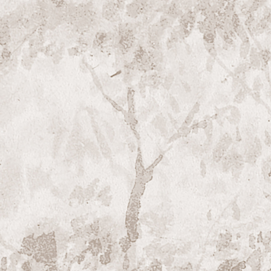 Rainforest River - Cedar