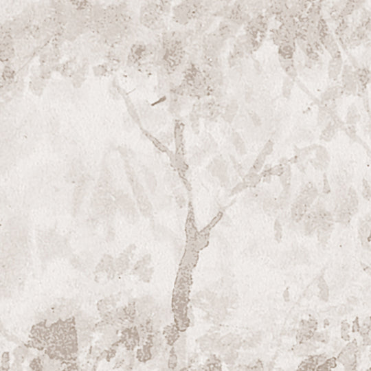 Rainforest River - Cedar