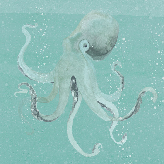 Little Narwhal