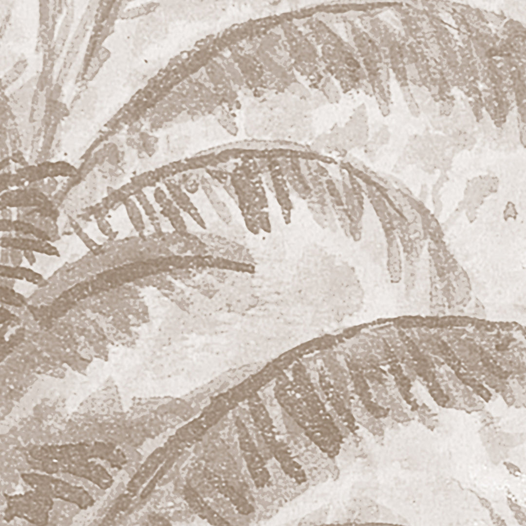 Rainforest River - Cedar