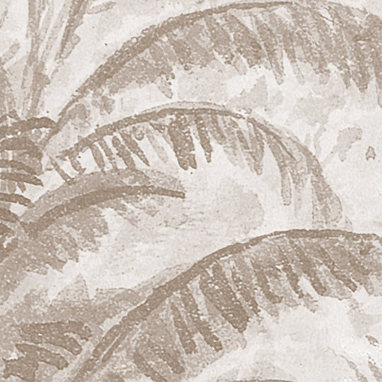 Rainforest River - Cedar