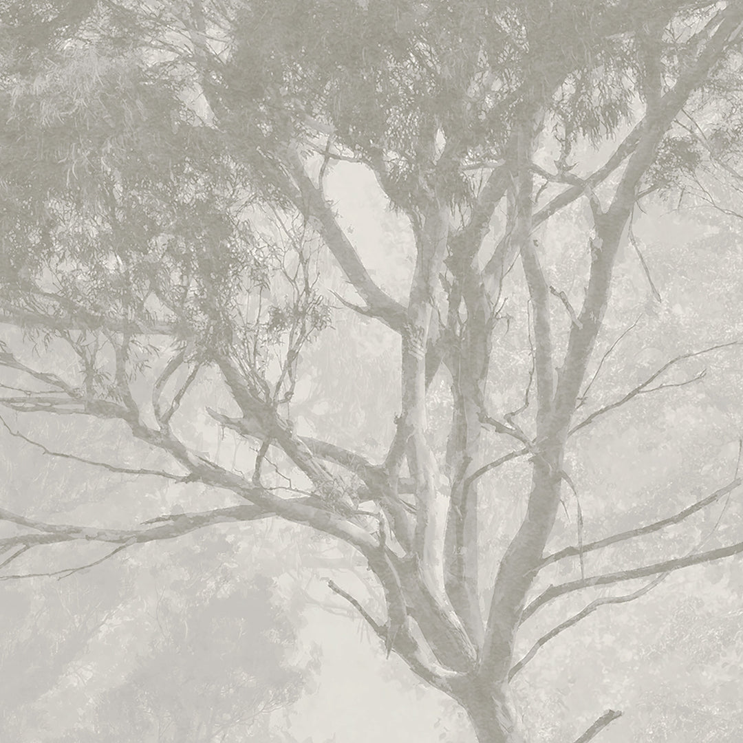 Hinterland