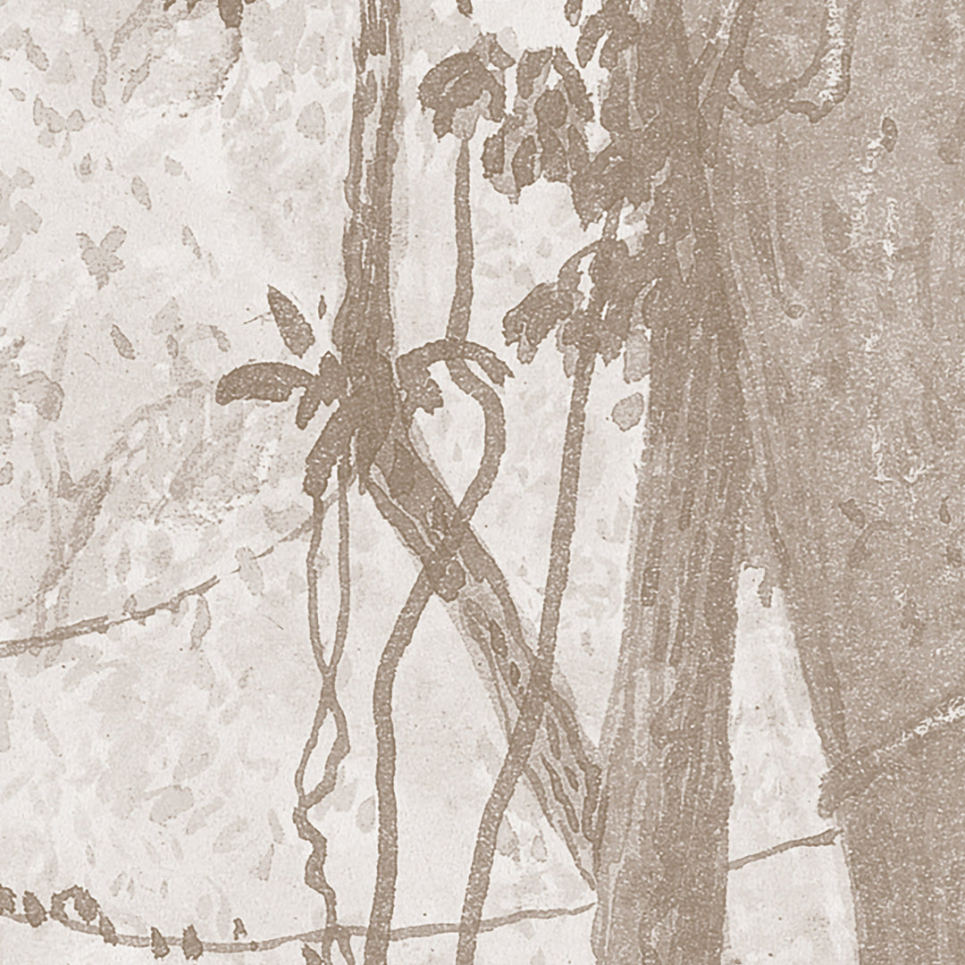 Rainforest River - Cedar