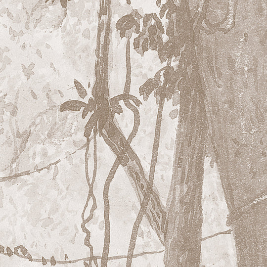 Rainforest River - Cedar