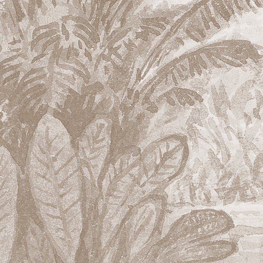 Rainforest River - Cedar