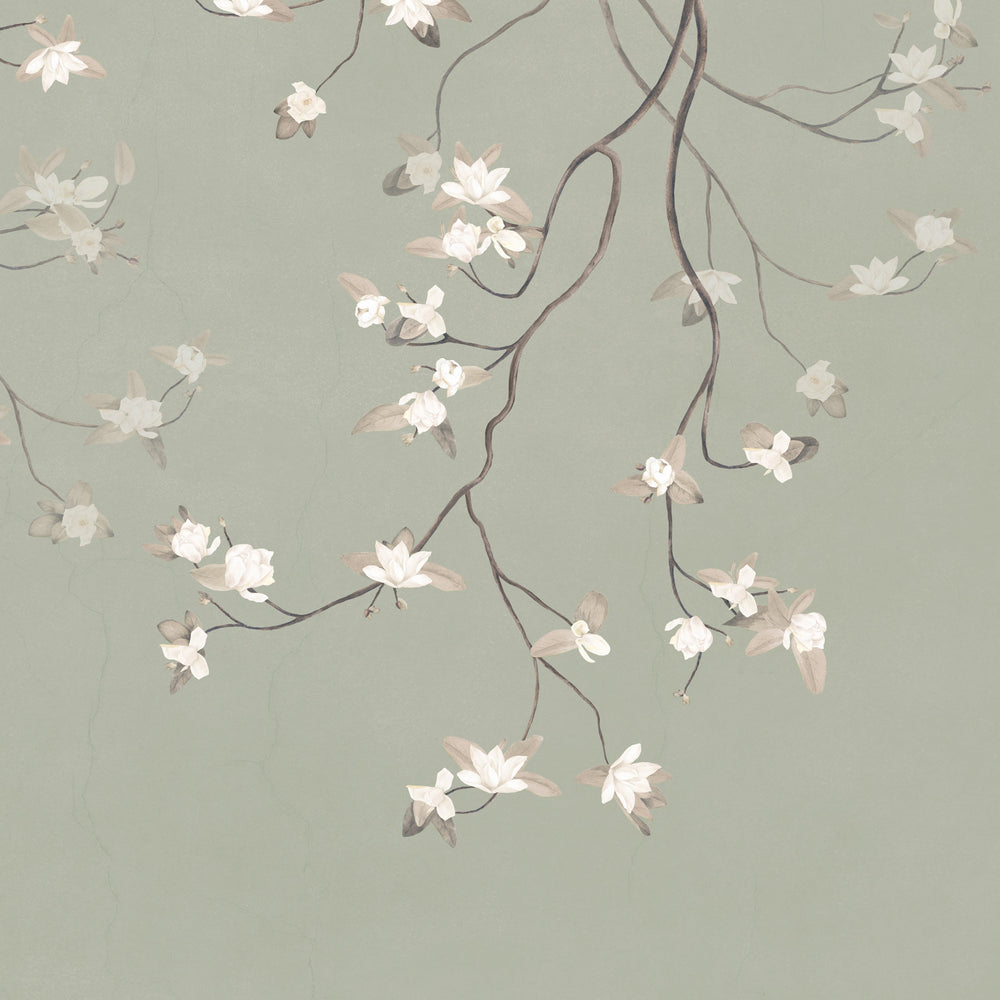 Magnolias on Antique Sage