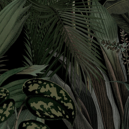 Midnight Garden