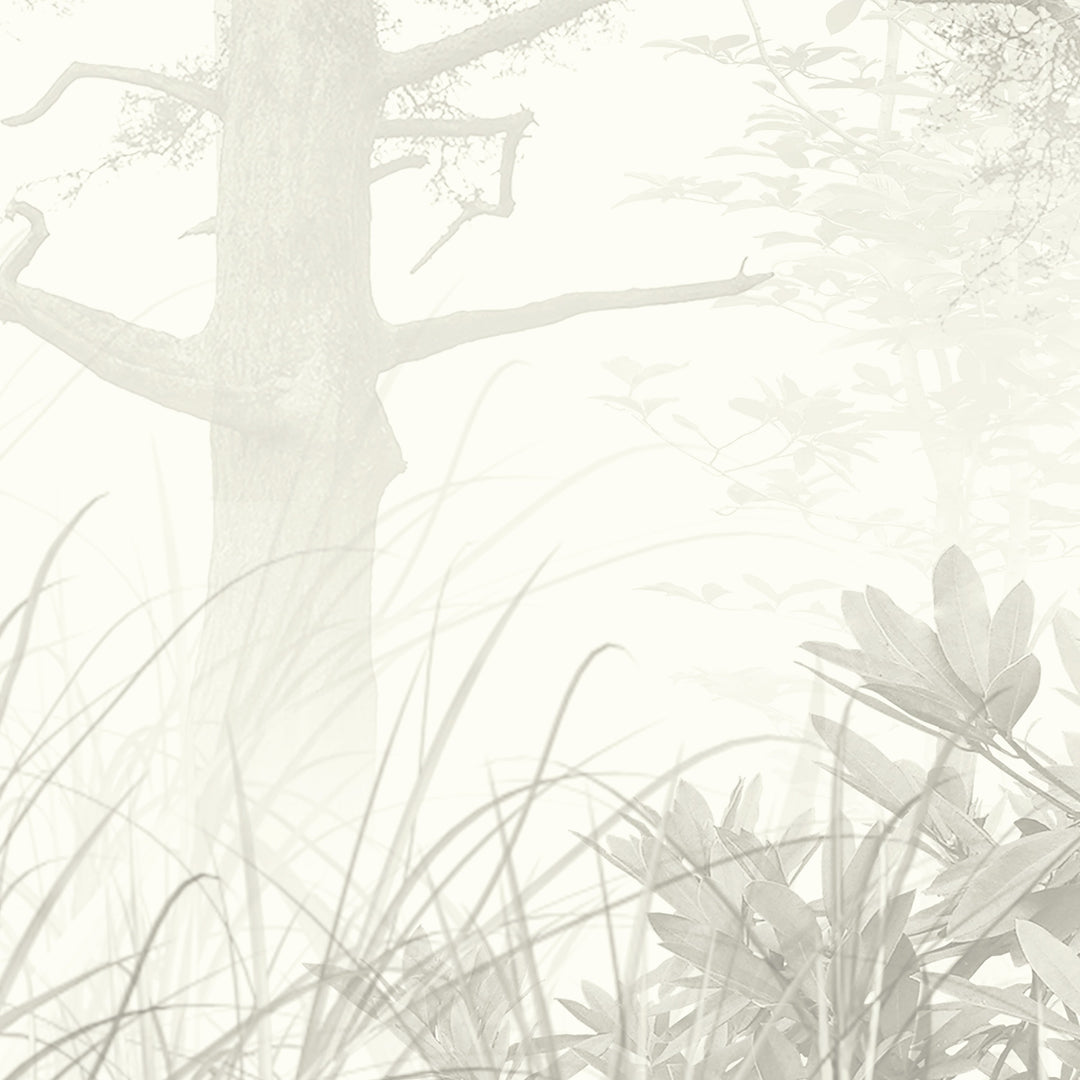 Alpine Mist