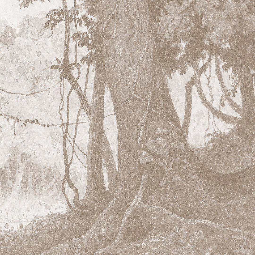 Rainforest River - Cedar