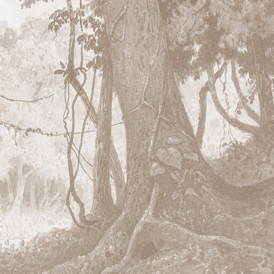 Rainforest River - Cedar