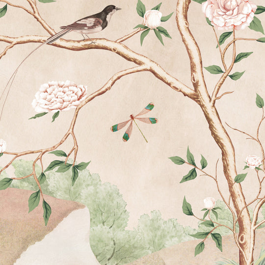 Silver Pheasant-Oriental Blush