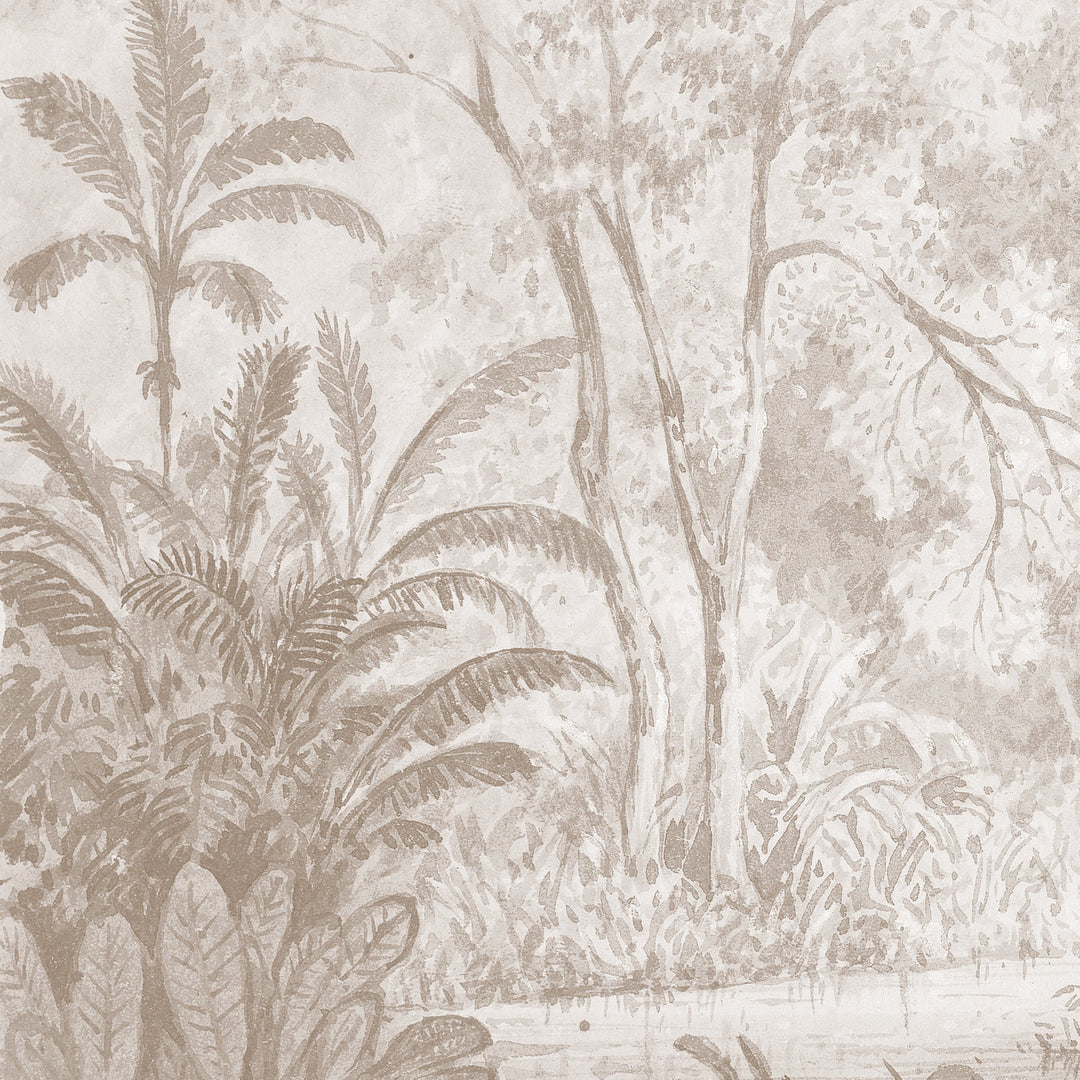 Rainforest River - Cedar