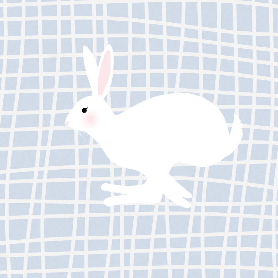 Run Rabbit Run in Cornflower Blue