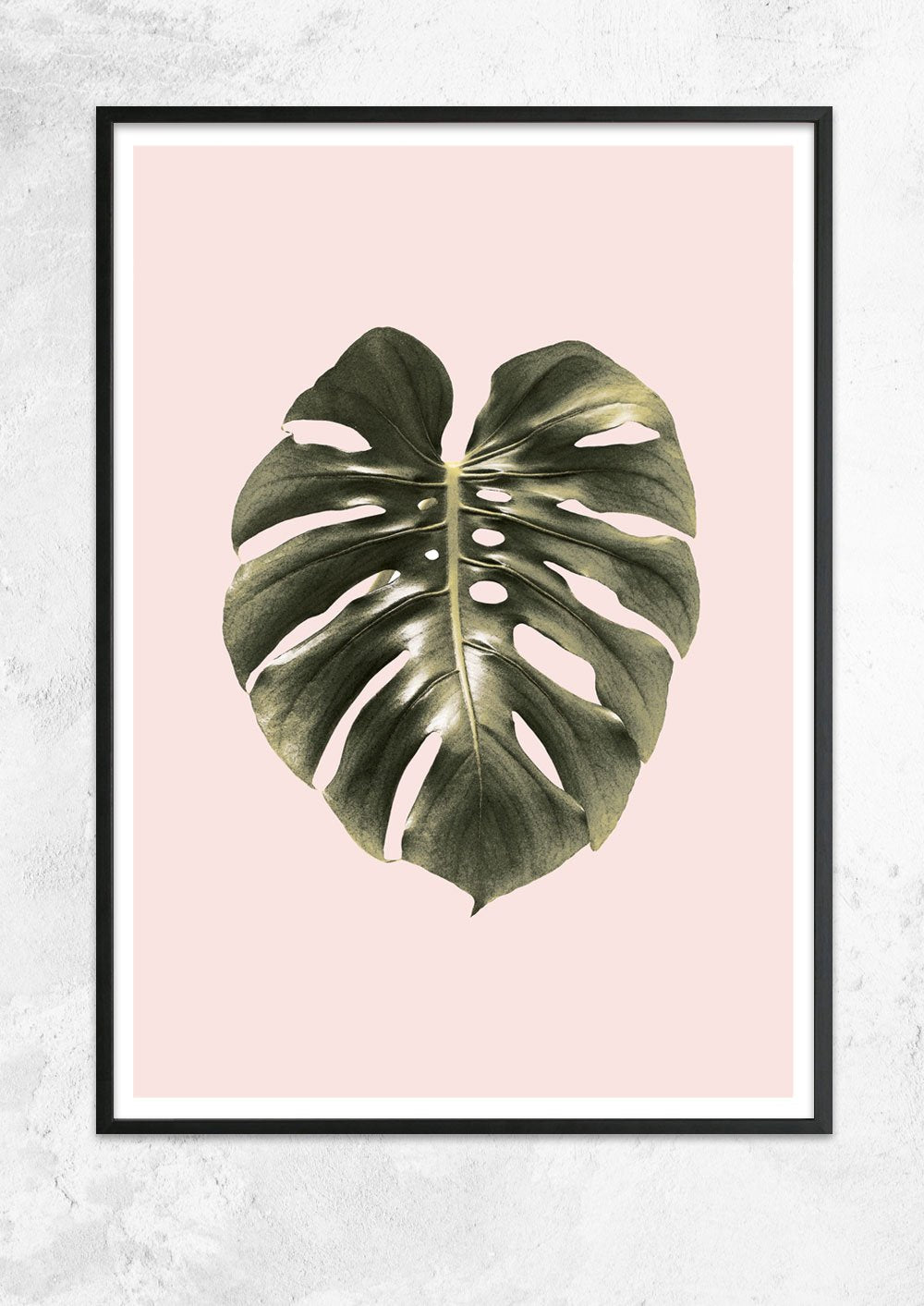 Monstera Leaf