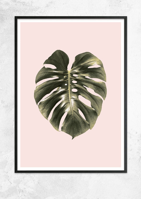 Monstera Leaf