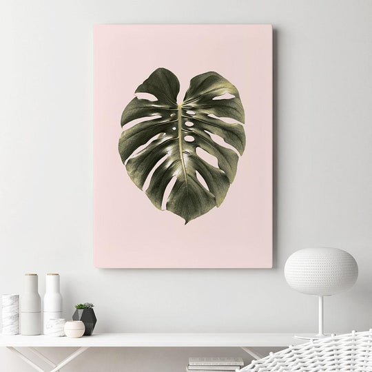 Monstera Leaf