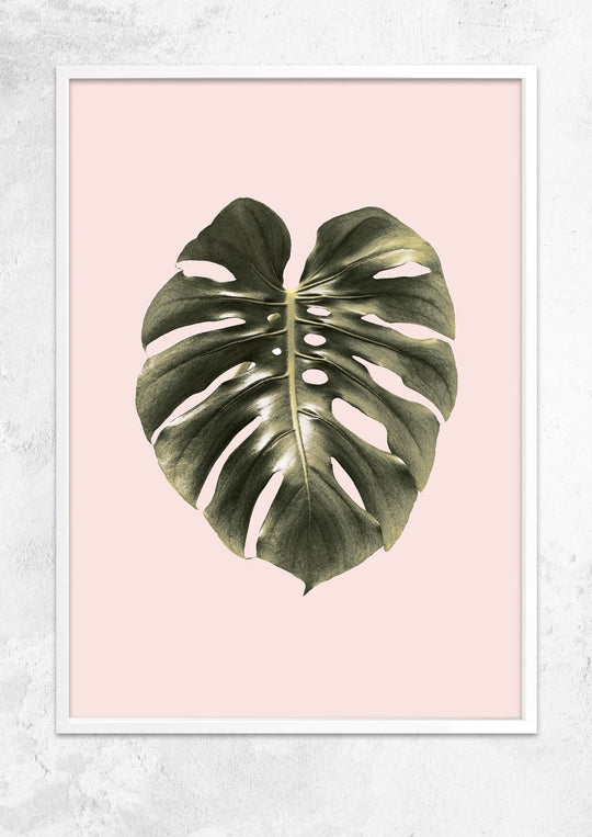 Monstera Leaf