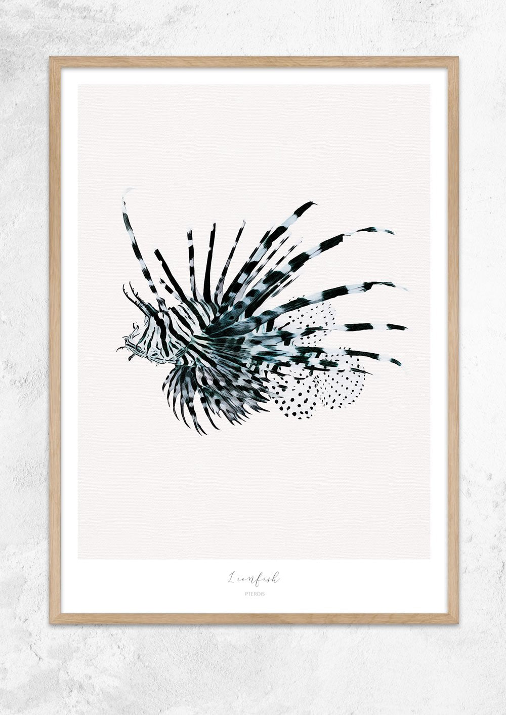 Marine Life Series - Lionfish