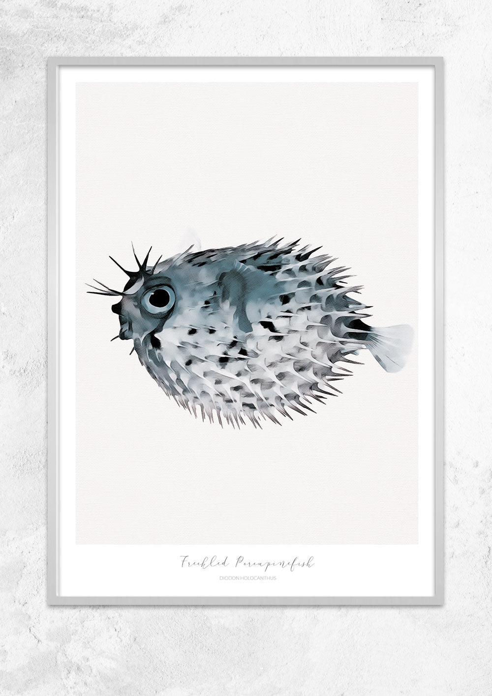 Marine Life Series - Freckled Porcupine Fish