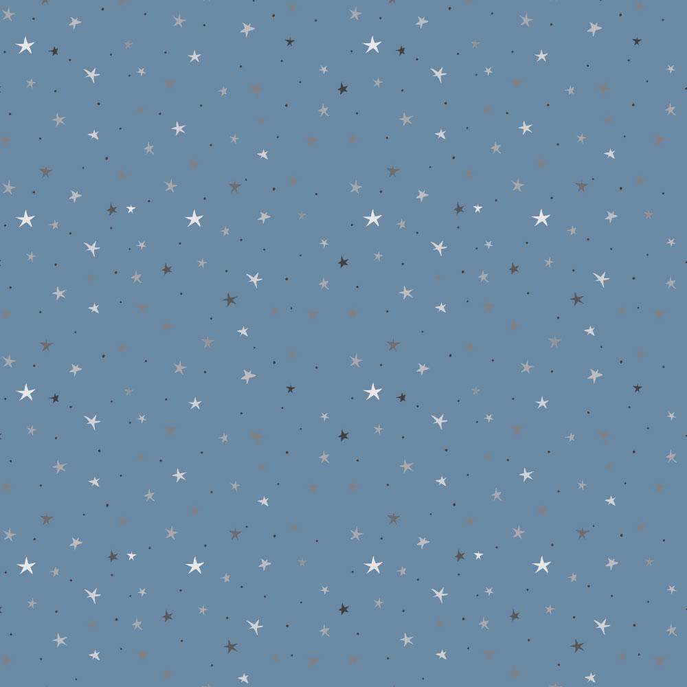 Starry Starry Night